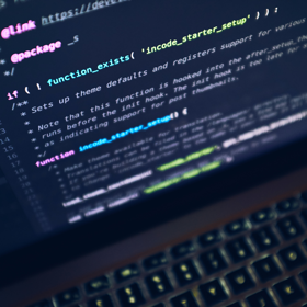 Programming skills