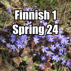 Image for learning opportunity Finnish 1