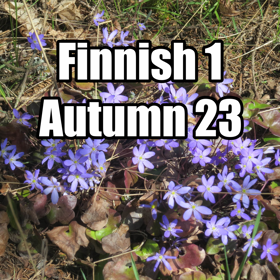 Image for learning opportunity Finnish 1